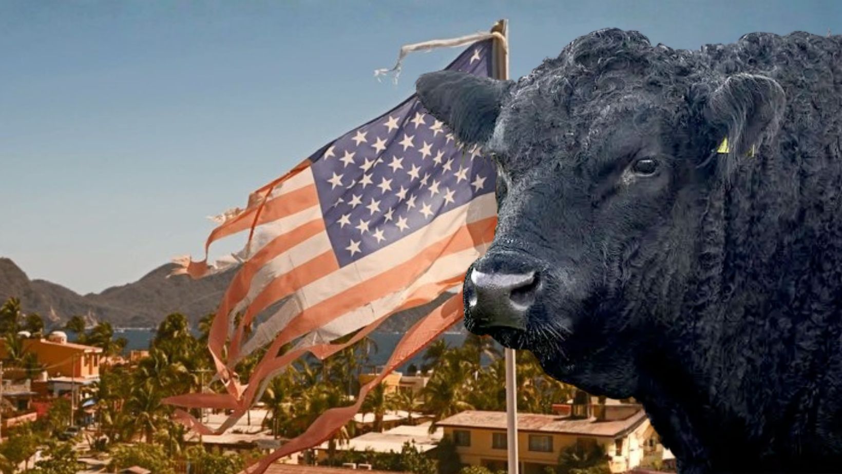 Projeto no Senado pode quebrar gigantes da industria da carne nos Estados Unidos