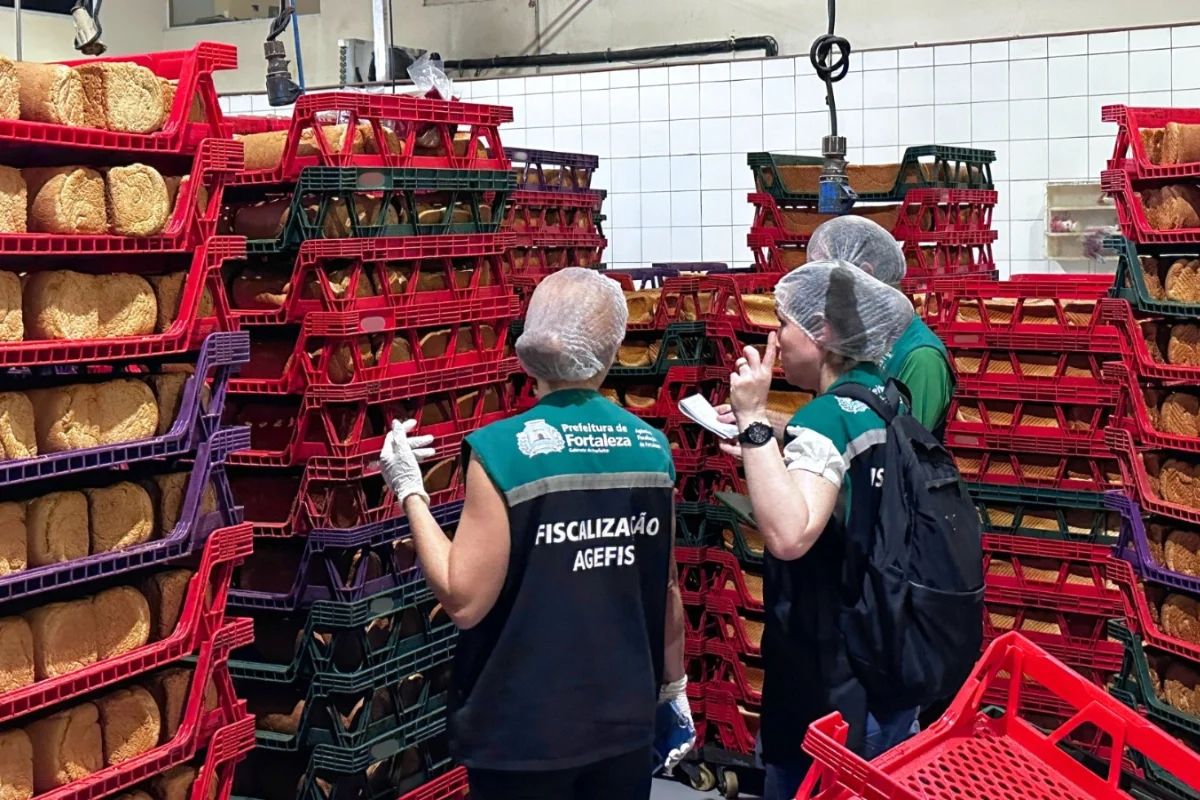 Fábrica de pães é interditada após infestação de baratas e pode ser multada em até R$ 24 mil