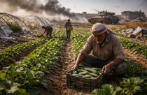 agricultores oriente medio