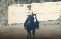 dr Heraldo de Araujo Pessoa - Quarto de Milha