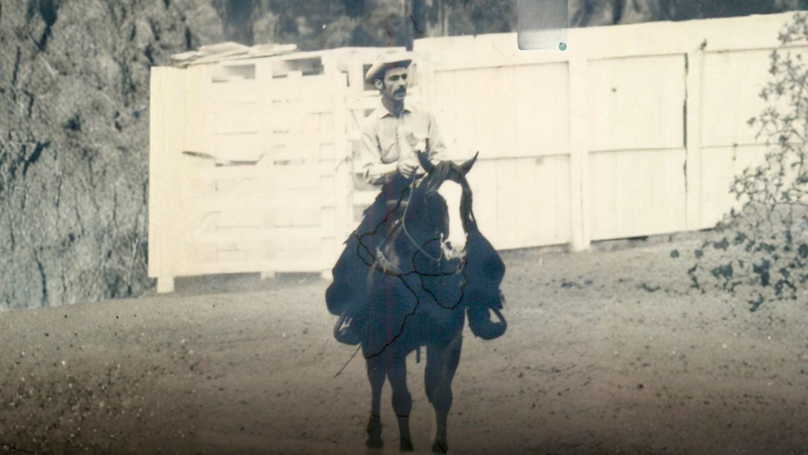 dr Heraldo de Araujo Pessoa - Quarto de Milha