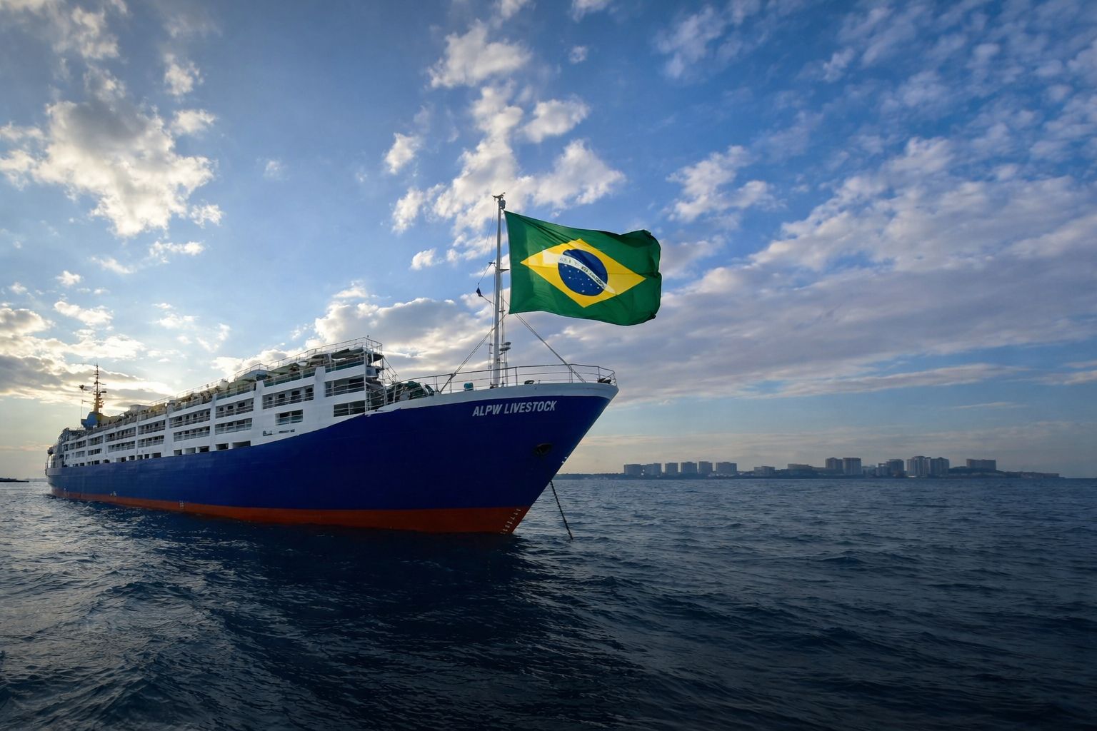 exportacao de gado vivo