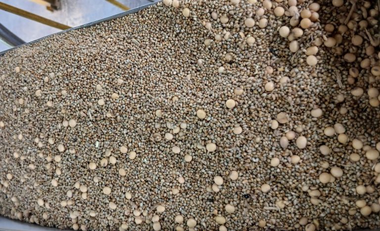 Ministério identifica fraude em carga de soja no Porto de Paranaguá