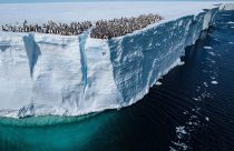Antártica: Chuva no lugar da neve acende alerta entre cientistas