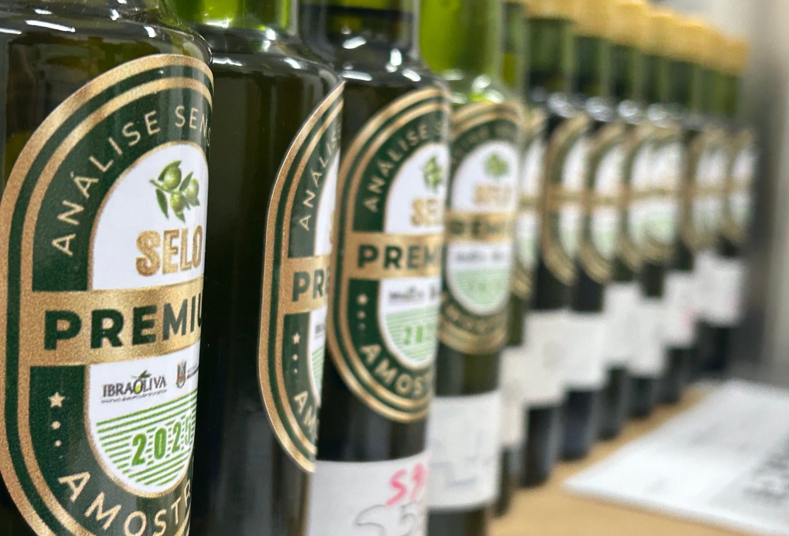 Azeite de oliva gaúcho será destaque em coquetéis do South Summit Brazil