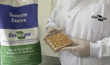 Brasil na Lua: Embrapa estuda o desenvolvimento de alimentos lunares