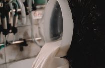 Produtores de leite enfrentam início de ano difícil, mas setor projeta reação nos próximos meses