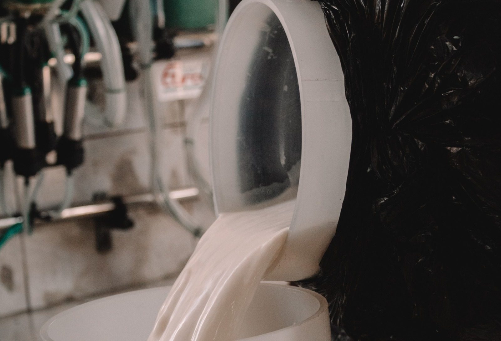 Produtores de leite enfrentam início de ano difícil, mas setor projeta reação nos próximos meses