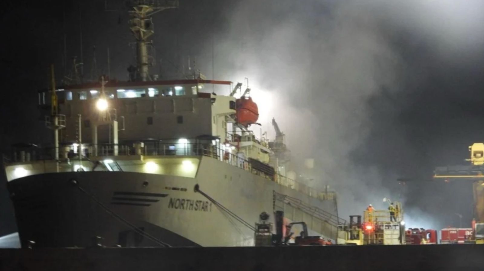 navio com bois vivos