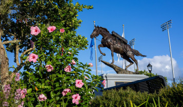 Conheça a cidade que é considerada a “Capital Mundial do Cavalo“