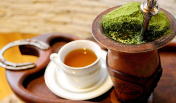 Protocolo sensorial oferece ferramenta prática para a classificação do chá mate
