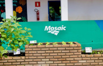 Mosaic inaugura nova horta sensorial acessível na rede municipal de Uberaba (MG)