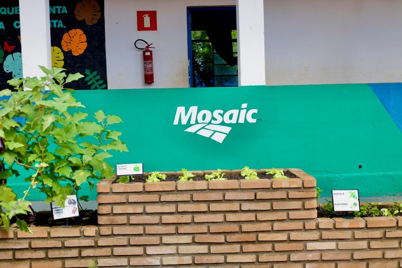 Mosaic inaugura nova horta sensorial acessível na rede municipal de Uberaba (MG)