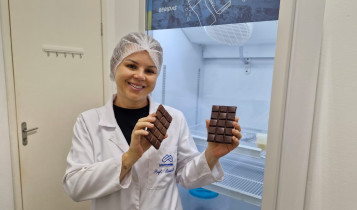 Norte de Minas entra no mapa do cacau e produz seu primeiro chocolate; região mira 15 mil hectares