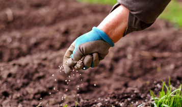 Guerra encarece fertilizantes e Brasil pode reduzir produção: entenda o risco para o agro em 2026