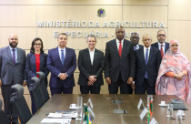 Mapa discute cooperação em genética bovina e abertura de mercado com a Mauritânia