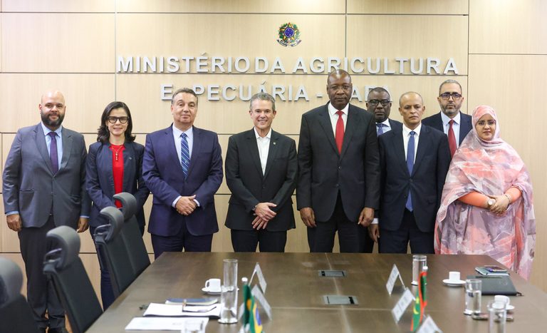 Mapa discute cooperação em genética bovina e abertura de mercado com a Mauritânia