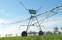 Bauer do Brasil integra seguro ao pivô e amplia proteção ao produtor rural