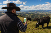 Cerca virtual via satélite transforma a pecuária: tecnologia elimina cercas e permite controlar o gado de qualquer lugar