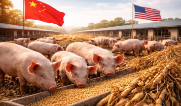 China muda ração dos porcos e ameaça bilhões do mercado global de soja
