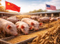 China muda ração dos porcos e ameaça bilhões do mercado global de soja