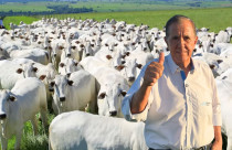 Estancia Bahia Leiloes - Mauricio Tonha - Mega leilao - maior do mundo