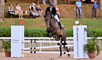 Cavalo Lusitano promove sua 44ª Expo Internacional