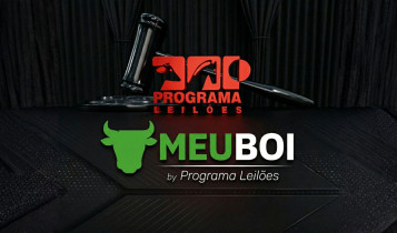 Meu boi by Programa Leiloes