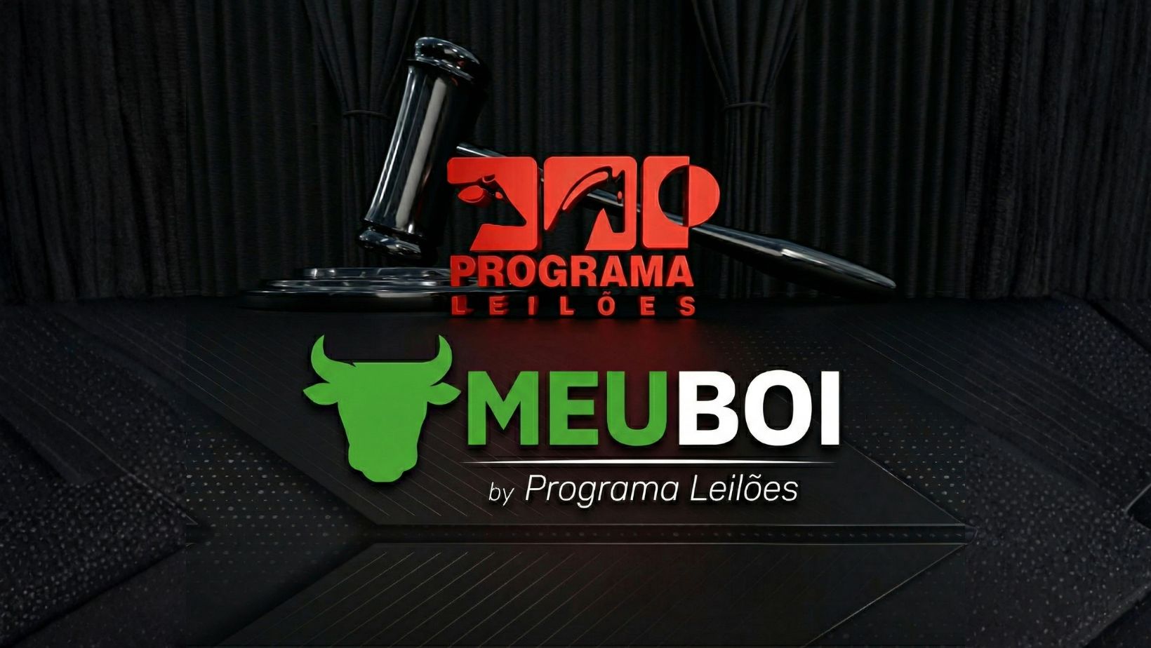 Meu boi by Programa Leiloes
