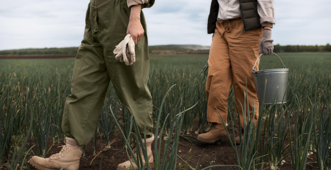 Mesmo com safra recorde, crise sistêmica desafia o agro brasileiro