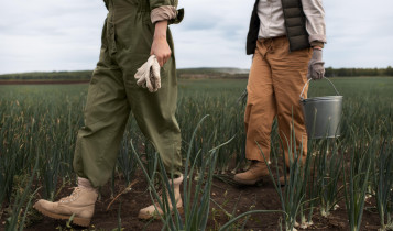 Mesmo com safra recorde, crise sistêmica desafia o agro brasileiro