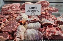 argentina carne de burro