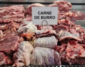 argentina carne de burro