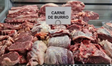 argentina carne de burro