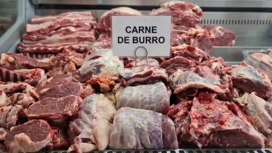 argentina carne de burro