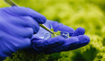 Novas tecnologias destacam-se pela sustentabilidade no campo e na floresta