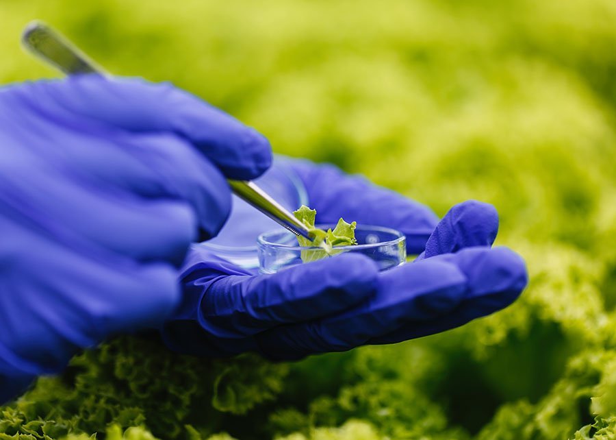 Novas tecnologias destacam-se pela sustentabilidade no campo e na floresta