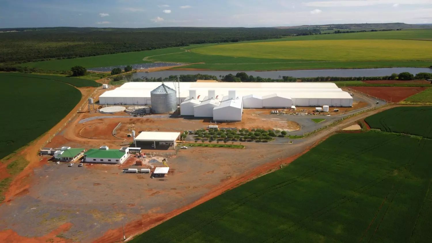 Boa Safra Sementes de soja - planta de Cabeceiras - goias 4