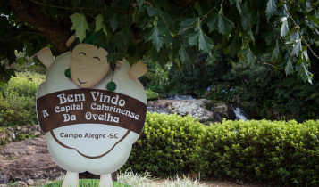 Capital Catarinense da Ovelha tem 1 ovelha para cada 3 habitantes e vira referência no Brasil