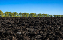 Chernozem é o solo mais fértil do mundo, o “ouro negro” que sustenta potências agrícolas