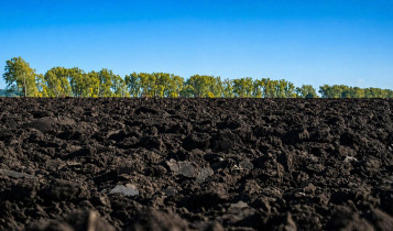Chernozem é o solo mais fértil do mundo, o “ouro negro” que sustenta potências agrícolas