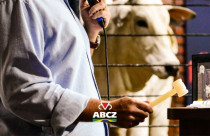 Leilões da 91ª ExpoZebu ultrapassam R$ 100 milhões e movimentam genética zebuína
