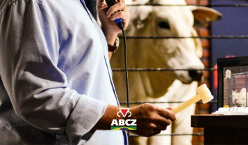 Leilões da 91ª ExpoZebu ultrapassam R$ 100 milhões e movimentam genética zebuína