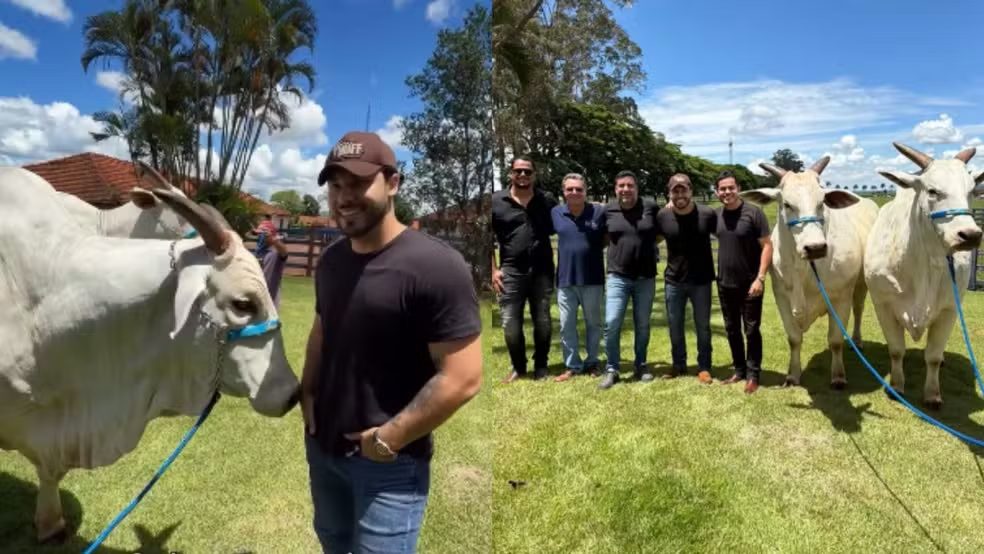 “É um fenômeno”, diz Murilo Huff ao encontrar sua vaca recordista pela primeira vez