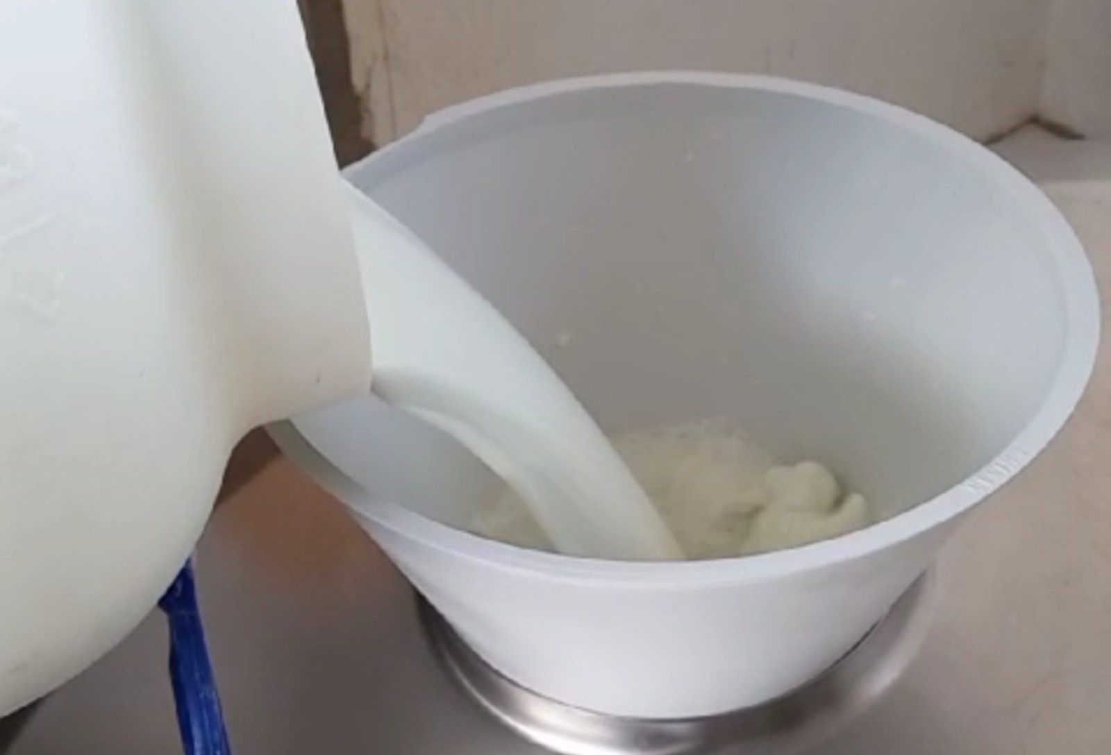 Produção de leite de búfala supera 20 milhões de litros e avança no Sul e Sudeste