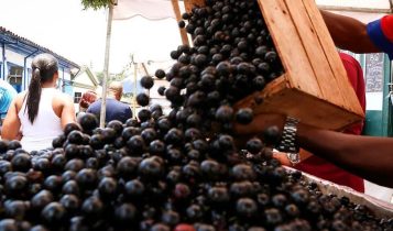Ranking global: Três frutas brasileiras são eleitas as melhores do planeta; saiba quais
