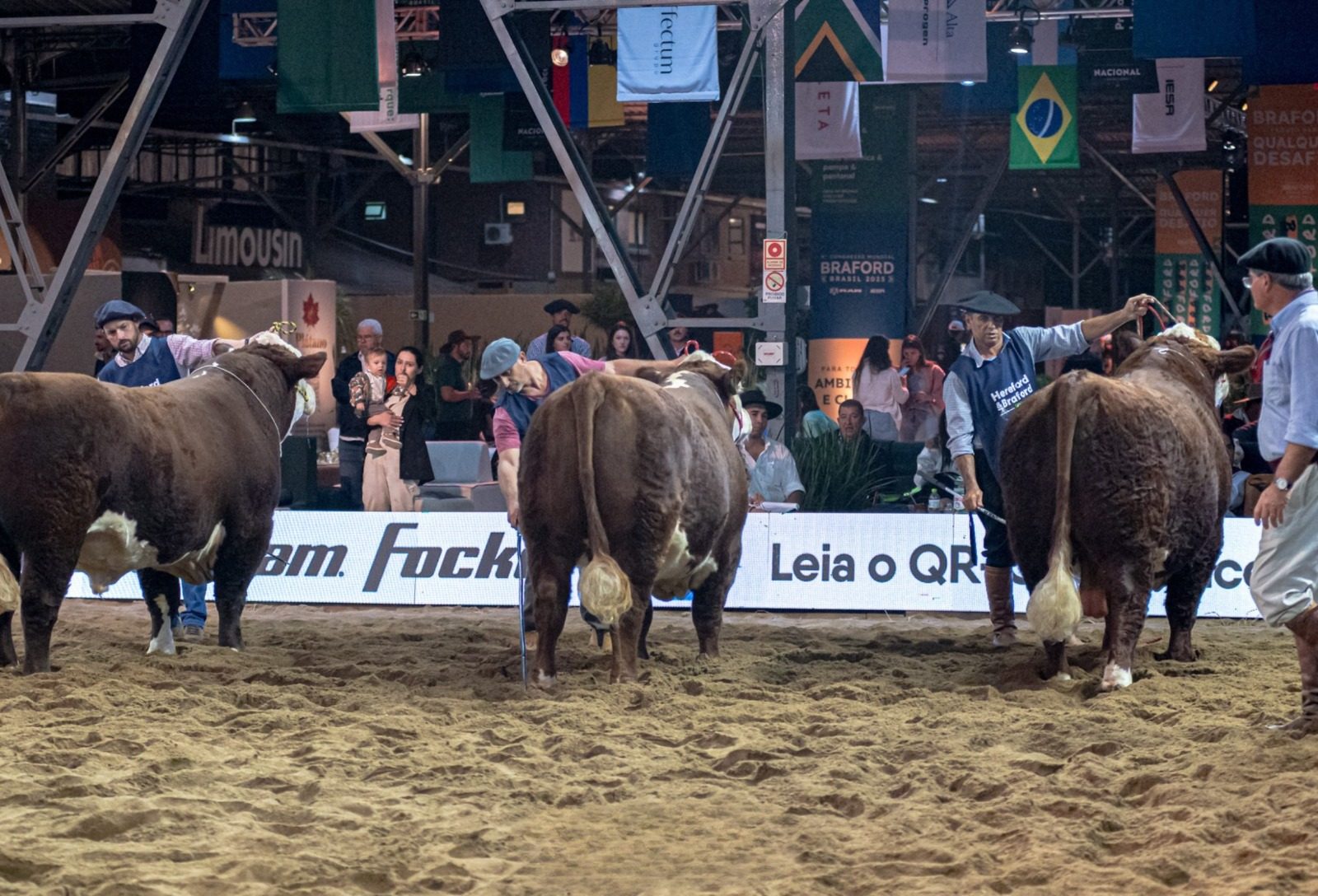 Nacional Hereford e Braford movimenta mais de 1,25 mil animais na semana do evento