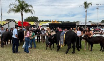 Abertas as inscrições para participação dos búfalos na Fenasul Expoleite