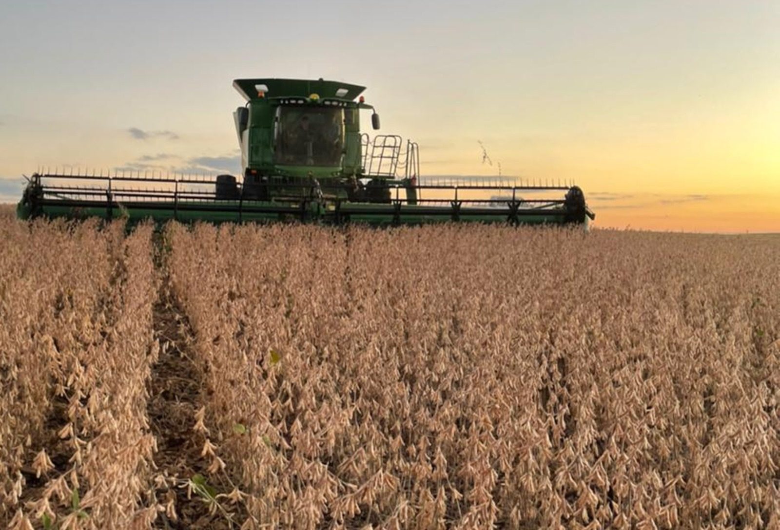 Colheita da safra de verão avança com alerta sobre seguro e perdas no campo