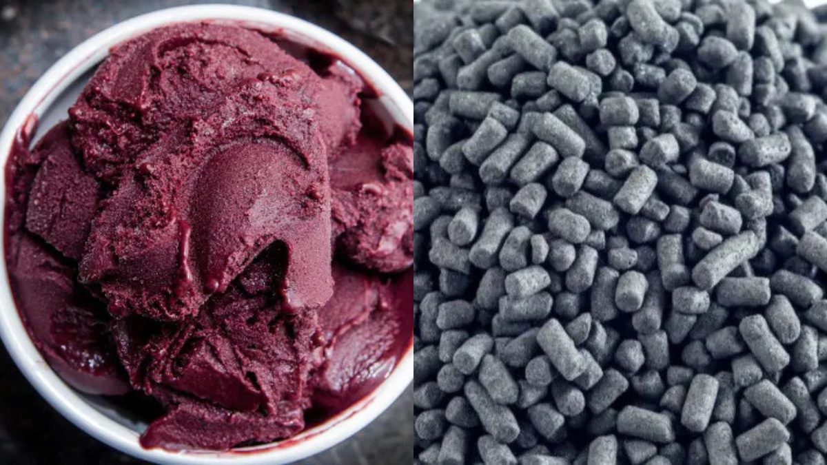 Conheça sobre o açai, fruto nativa que foi utilizada em crime de envenenamento